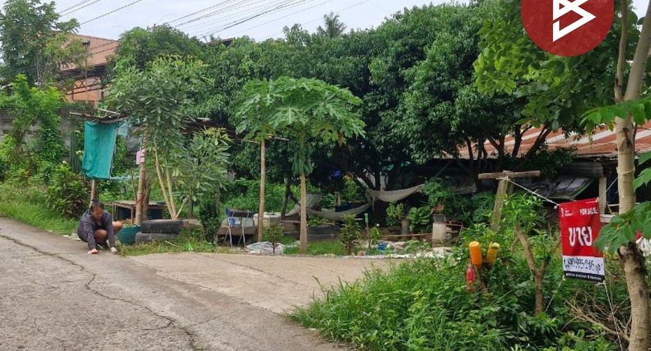 For sale land in Taphan Hin, Phichit