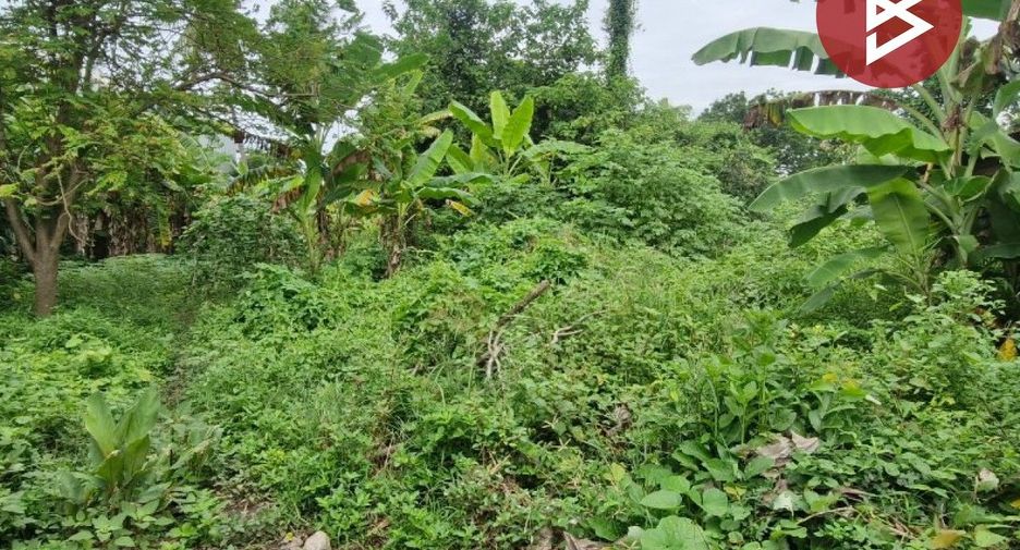 For sale land in Taphan Hin, Phichit
