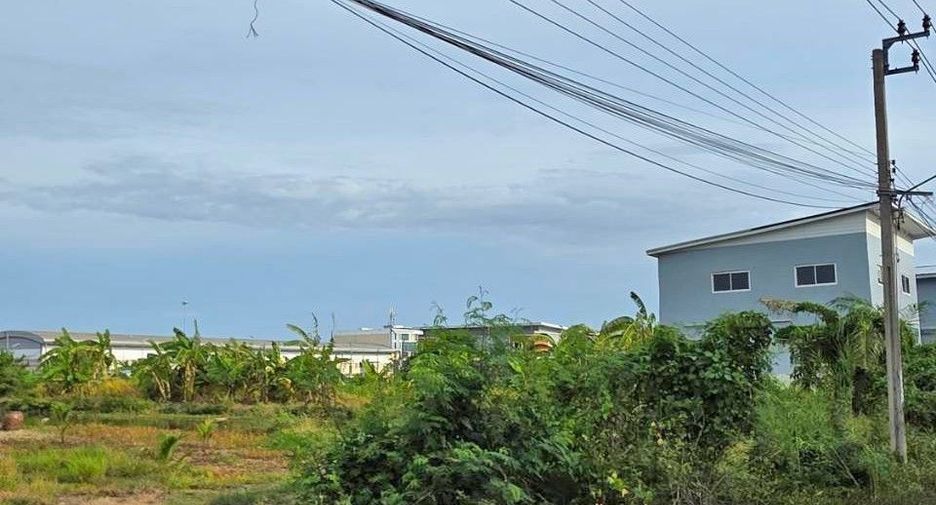 For sale land in Bang Bo, Samut Prakan