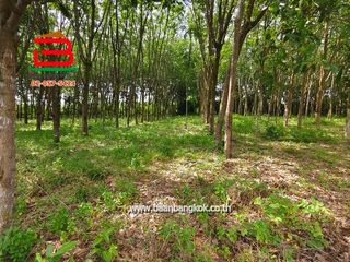 For sale land in Wang Chan, Rayong