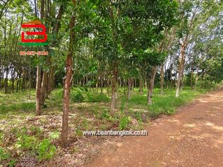For sale land in Wang Chan, Rayong