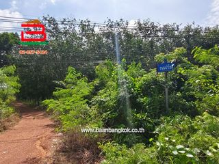 For sale land in Wang Chan, Rayong