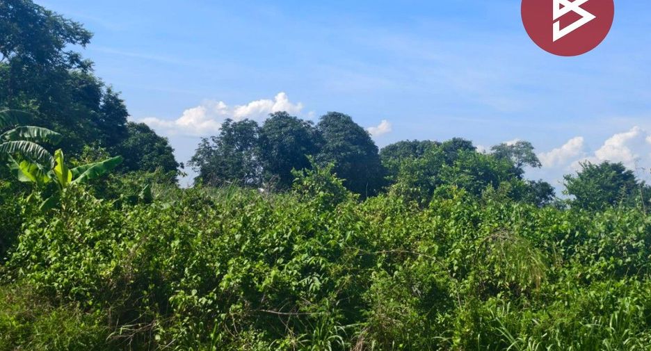 For sale land in Bang Khla, Chachoengsao