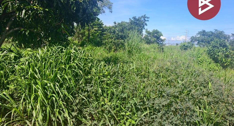 For sale land in Bang Khla, Chachoengsao