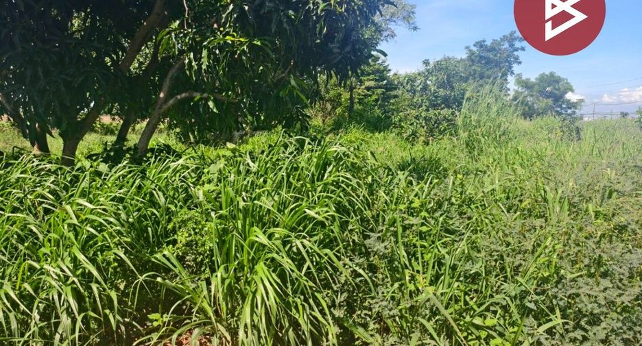 For sale land in Bang Khla, Chachoengsao