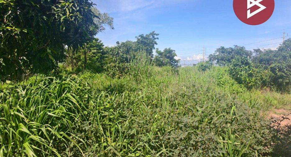 For sale land in Bang Khla, Chachoengsao