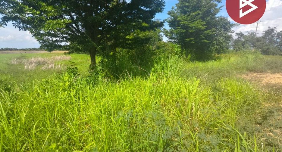 For sale land in Ratchasan, Chachoengsao