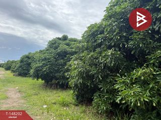 For sale land in Mueang Lamphun, Lamphun