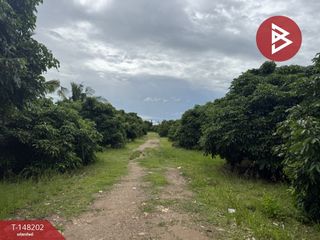 For sale land in Mueang Lamphun, Lamphun