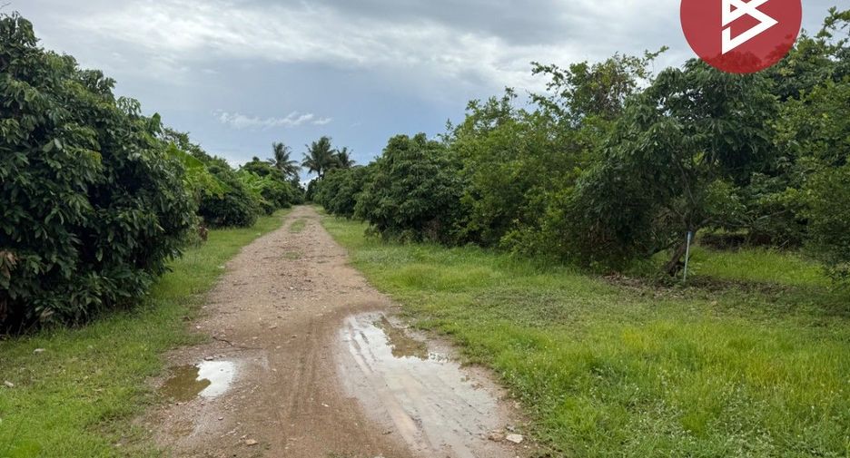 For sale land in Mueang Lamphun, Lamphun
