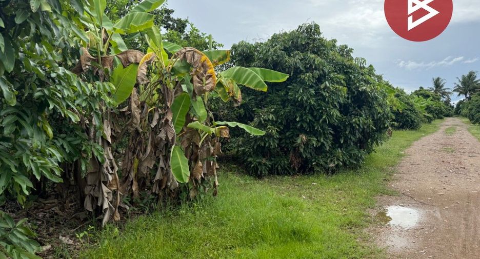 For sale land in Mueang Lamphun, Lamphun