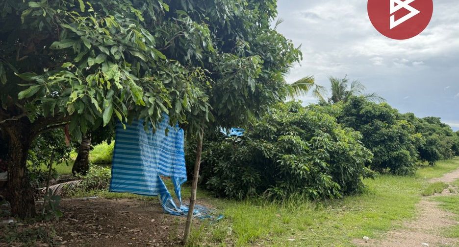 For sale land in Mueang Lamphun, Lamphun