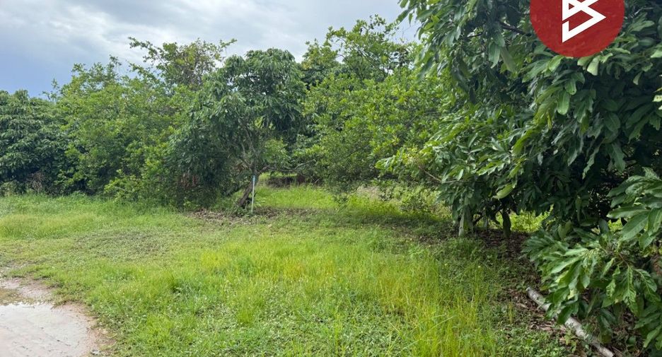 For sale land in Mueang Lamphun, Lamphun