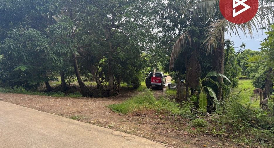 For sale land in Mueang Lamphun, Lamphun