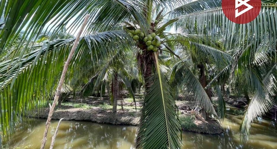 For sale land in Nakhon Chai Si, Nakhon Pathom