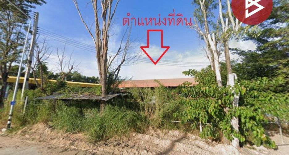 For sale land in Phanat Nikhom, Chonburi