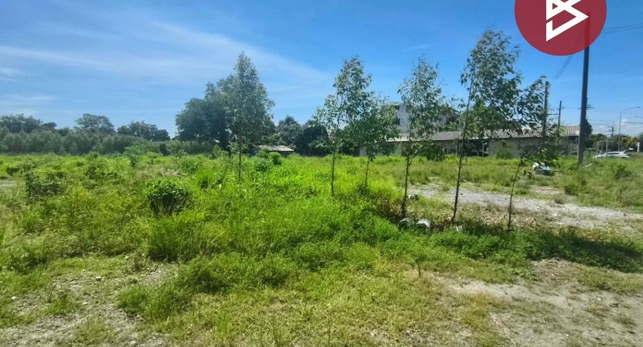 For sale land in Plaeng Yao, Chachoengsao
