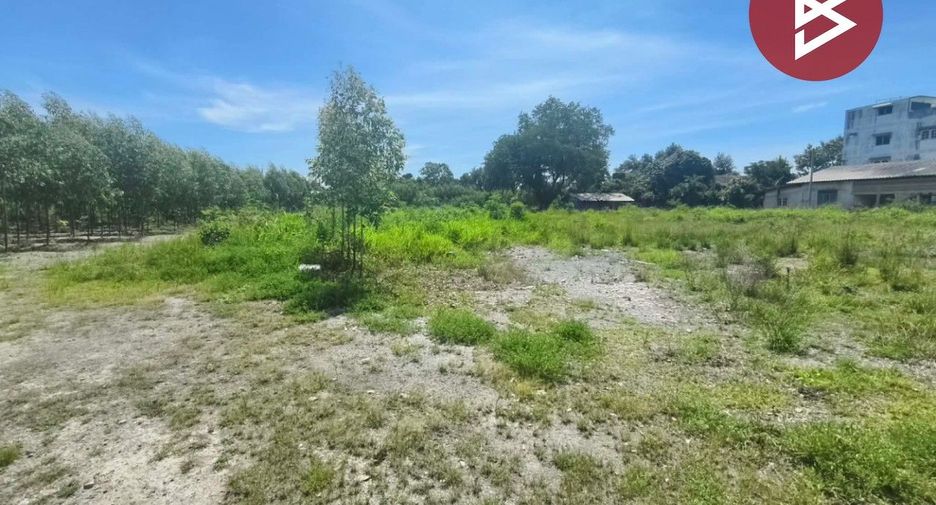 For sale land in Plaeng Yao, Chachoengsao