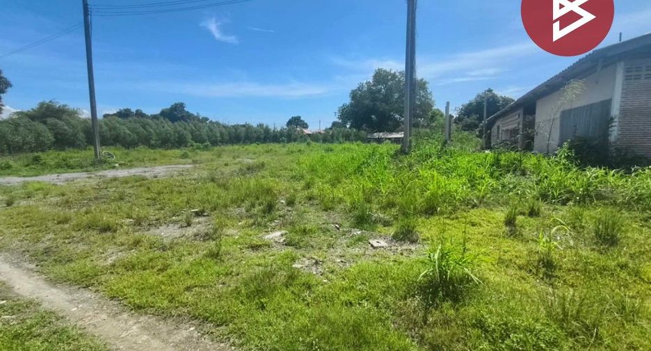 For sale land in Plaeng Yao, Chachoengsao