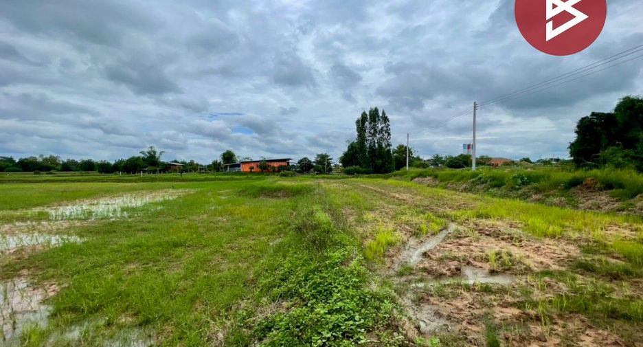 For sale land in Non Sila, Khon Kaen