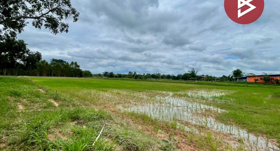 For sale land in Non Sila, Khon Kaen