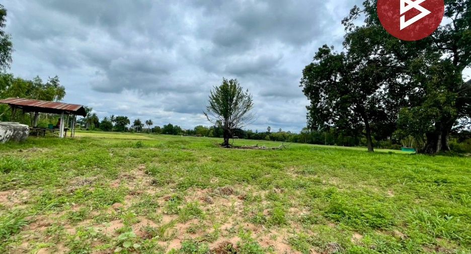 For sale land in Non Sila, Khon Kaen