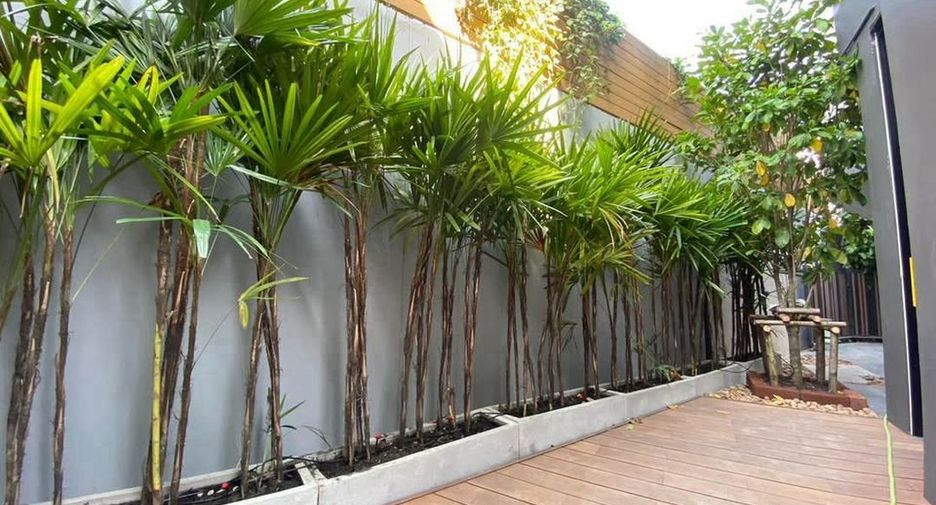 ให้เช่า 4 ห้องนอน บ้านเดี่ยว ใน วัฒนา, กรุงเทพฯ