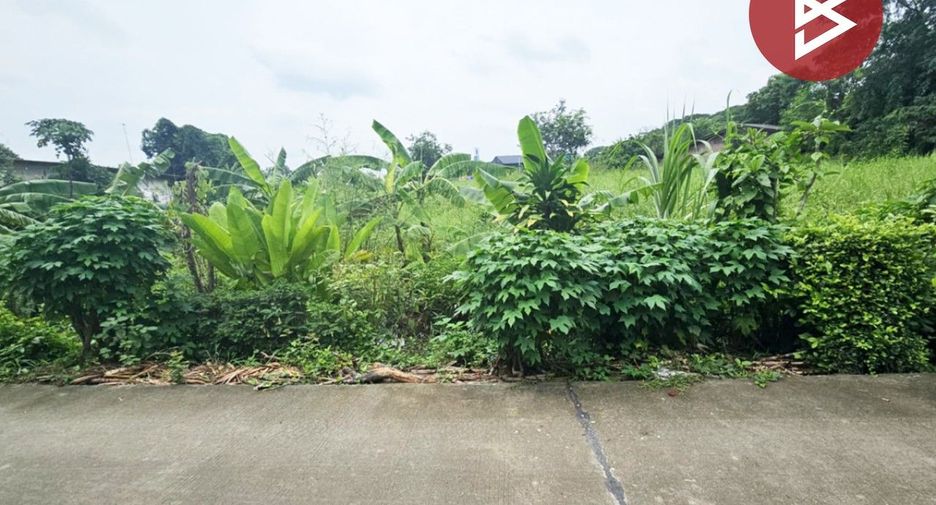 Grundstück zum Kauf in Phanat Nikhom, Chonburi