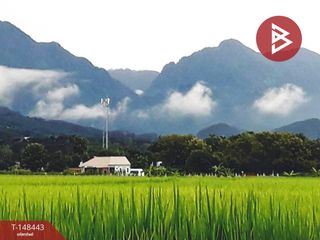 Terreno en venta en Mae Sai, Chiang Rai