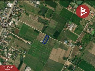 Terreno en venta en Mae Sai, Chiang Rai
