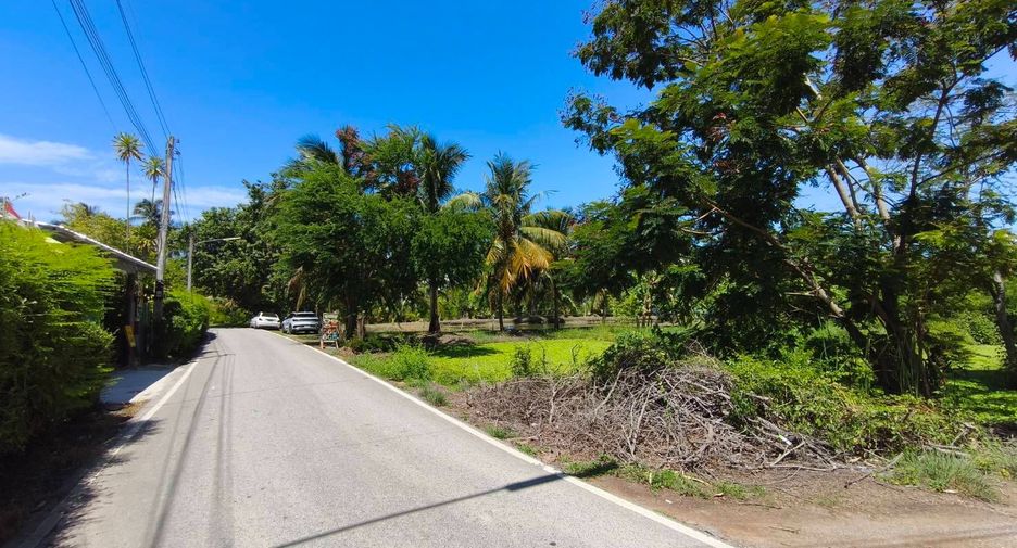 For sale land in Amphawa, Samut Songkhram