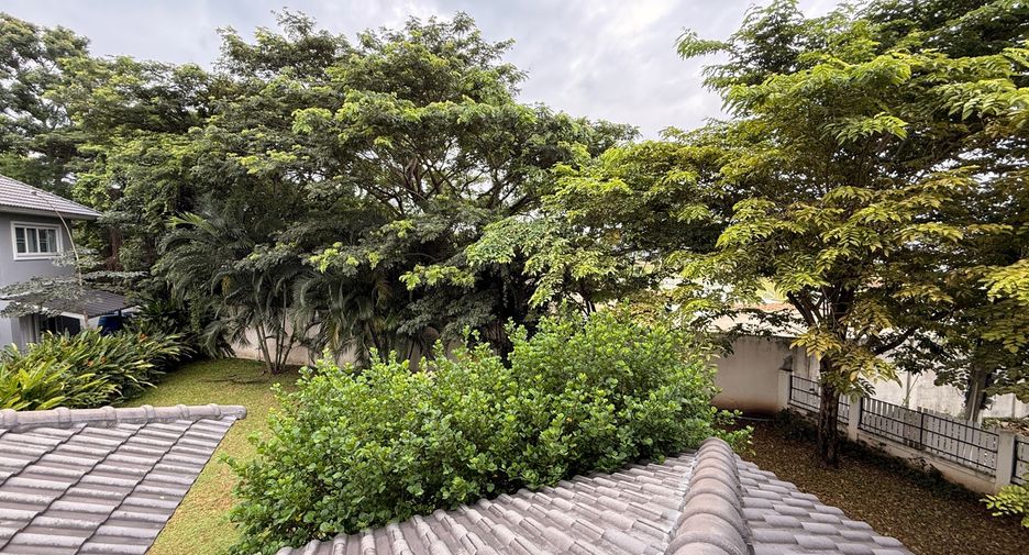 For rent and for sale 4 bedrooms house in San Sai, Chiang Mai