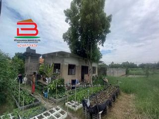 For sale land in Sam Khok, Pathum Thani