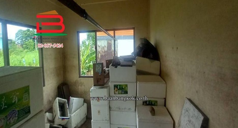 For sale land in Sam Khok, Pathum Thani