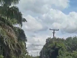 For sale land in Wang Nam Yen, Sa Kaeo