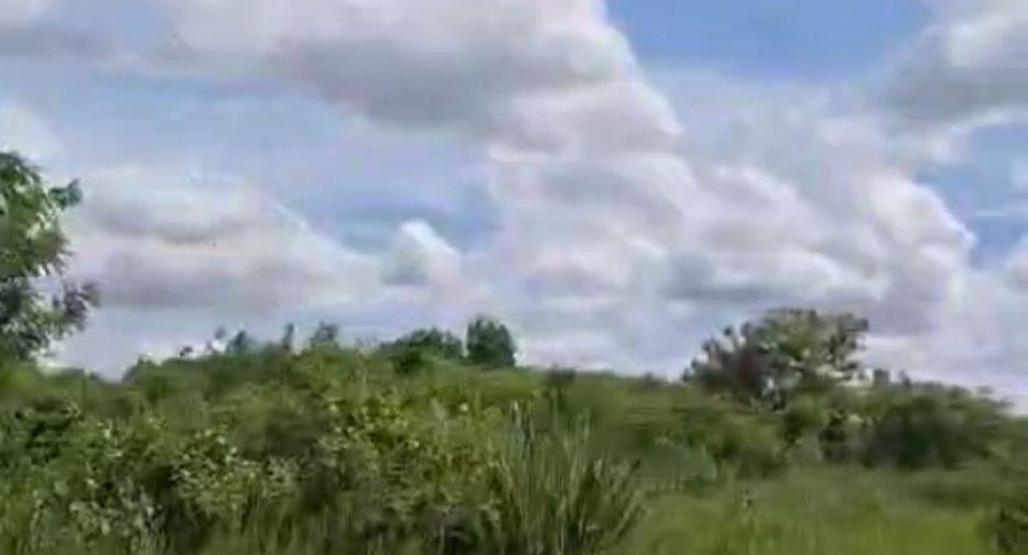 For sale land in Wang Nam Yen, Sa Kaeo