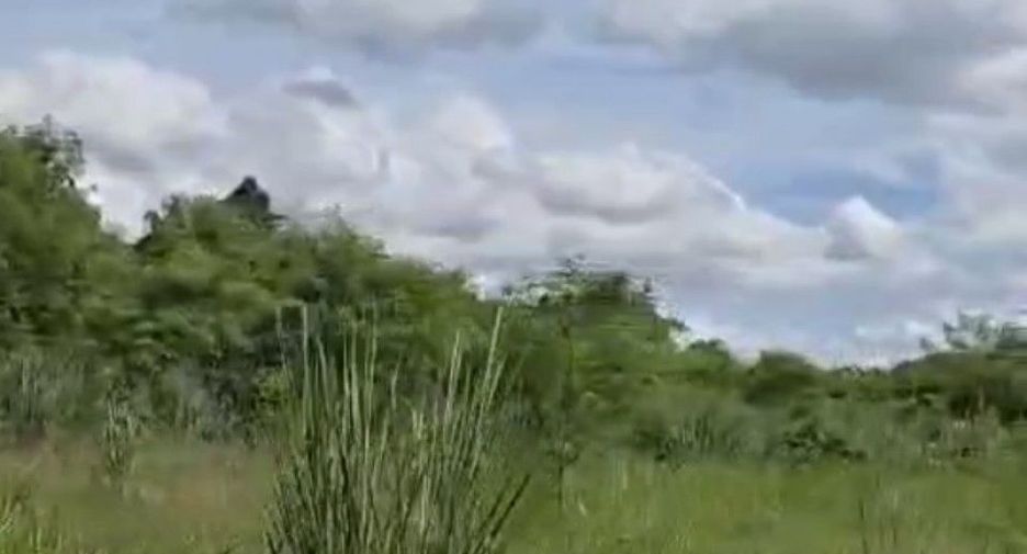 For sale land in Wang Nam Yen, Sa Kaeo