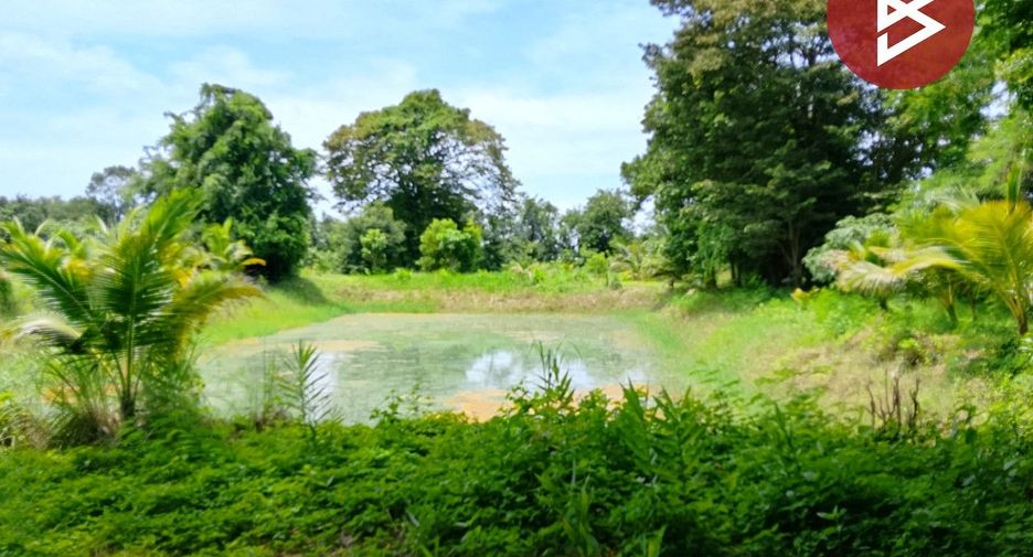 For sale land in Mueang Surin, Surin