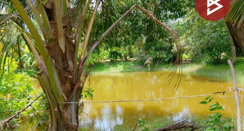 For sale land in Mueang Surin, Surin