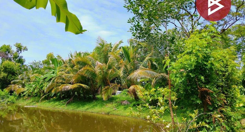 For sale land in Mueang Surin, Surin