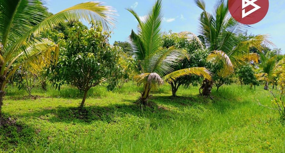 For sale land in Mueang Surin, Surin
