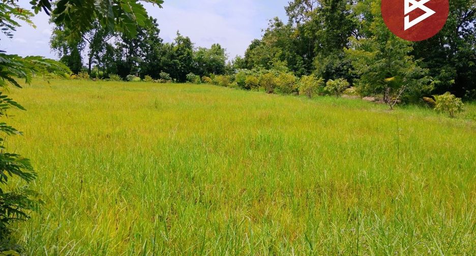 For sale land in Mueang Surin, Surin