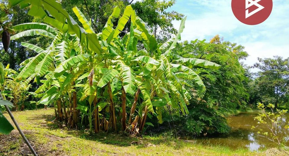 For sale land in Mueang Surin, Surin