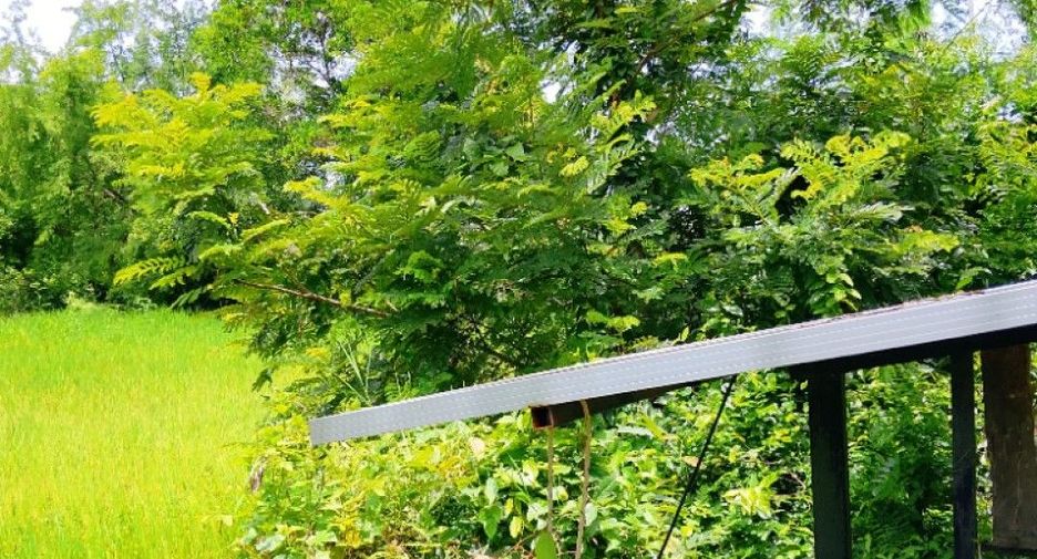 For sale land in Mueang Surin, Surin