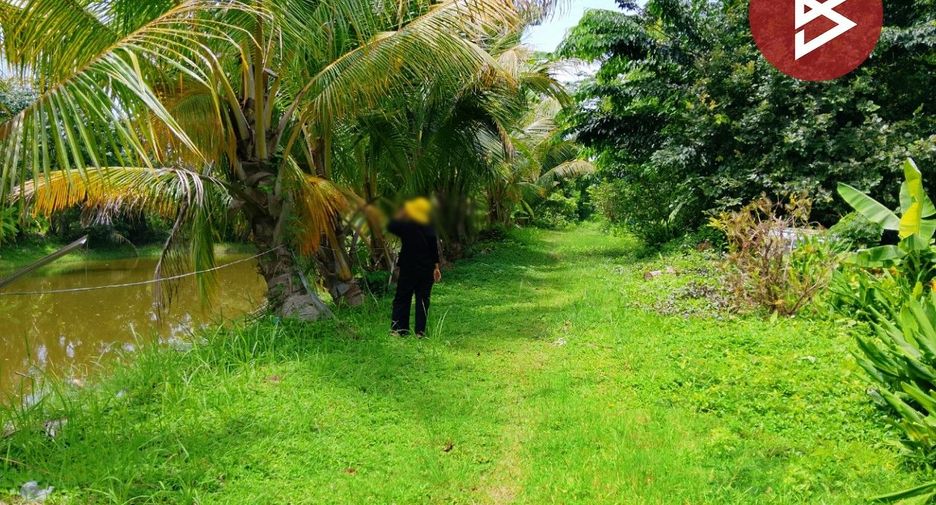 For sale land in Mueang Surin, Surin
