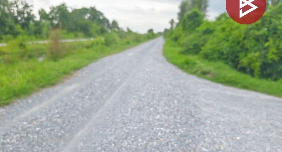 For sale land in Song Phi Nong, Suphan Buri