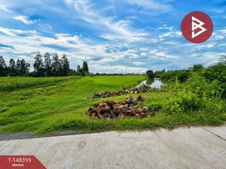 For sale land in Song Phi Nong, Suphan Buri