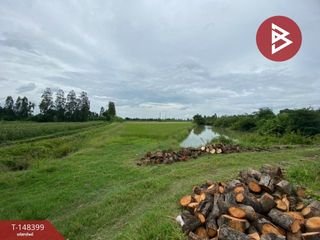 For sale land in Song Phi Nong, Suphan Buri