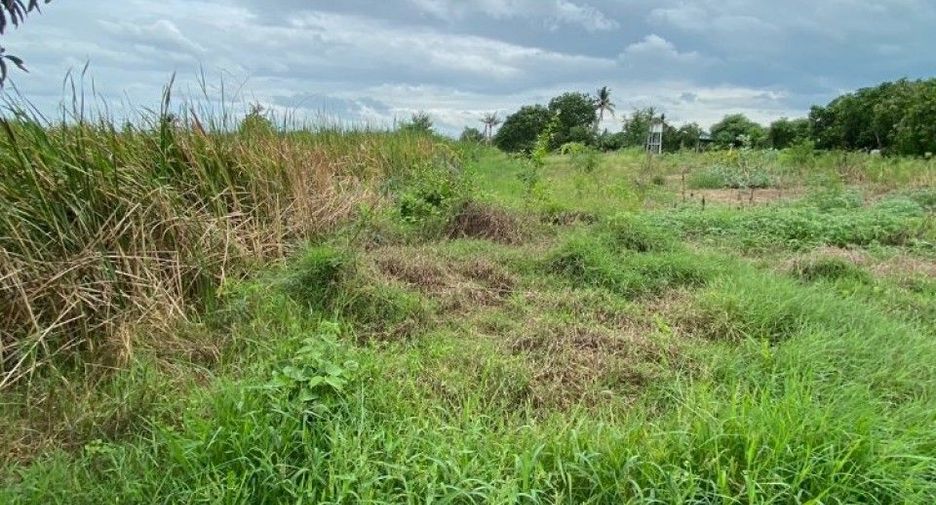For sale land in Song Phi Nong, Suphan Buri
