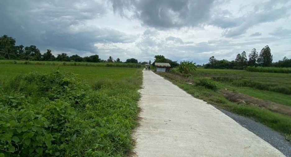 For sale land in Song Phi Nong, Suphan Buri